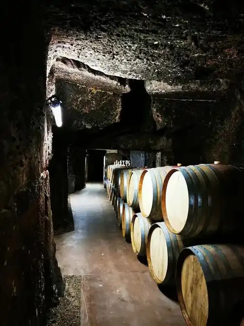 卢瓦河谷索米尔天然洞穴式酒窖72