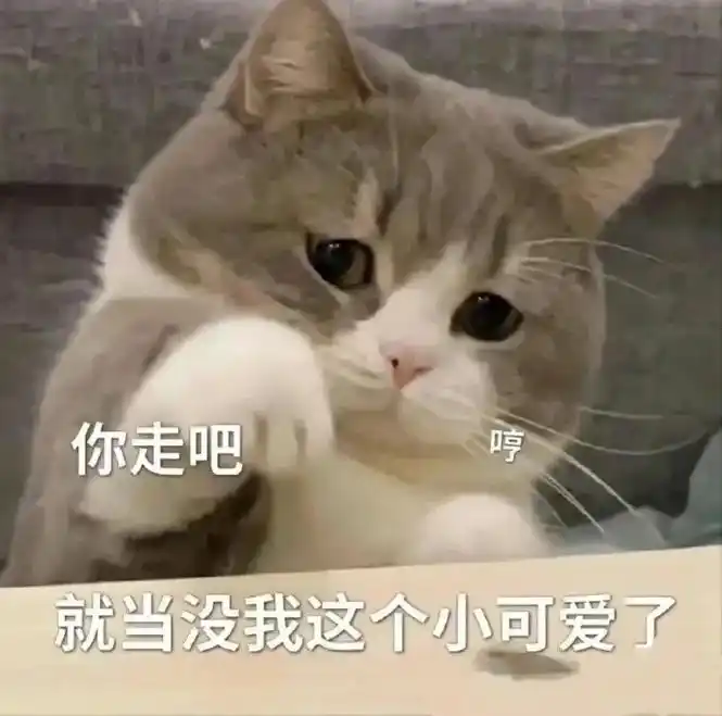 猫咪表情包 #快分享给你的好友 #情侣日常 #女生必看 - 抖音