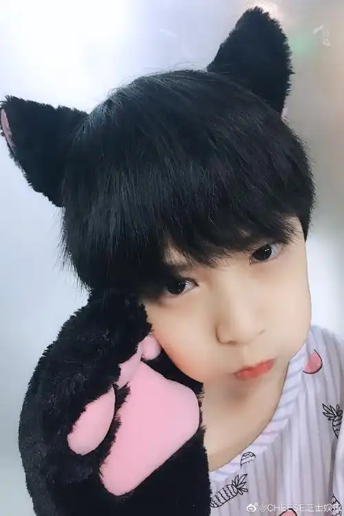 冷"芝士"bot:度上「小学生帅气照片」出来的都是刘耀文小时候照片