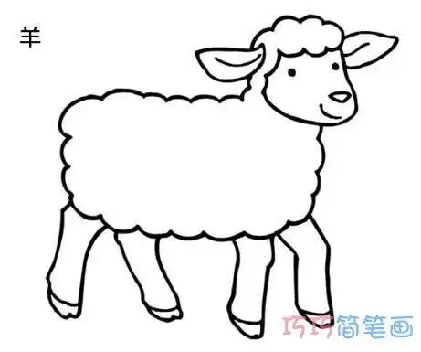 小山羊简笔画画羊简笔画