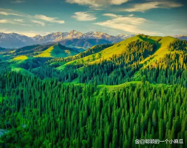 今天为大家带来的是新疆伊犁地区最美的六大景点,其中包括昭苏草原,喀