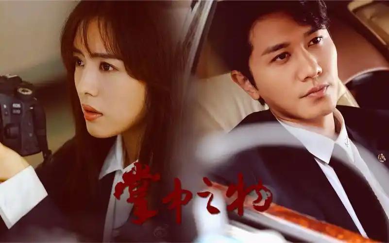 【掌中之物】彭冠英x傅慎行|蔡文静x何妍 | 暗里着迷