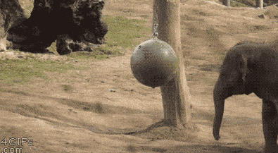 每天推送最新,经典搞笑视频,搞笑gif图,美女内涵图,这里应有尽有!