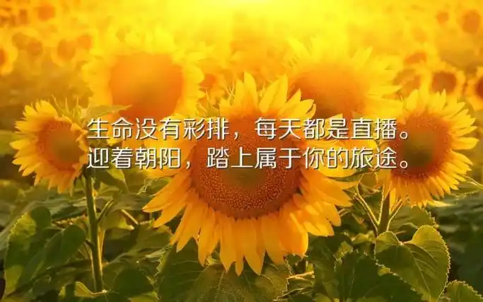 好心态早安正能量句子,6个字的早安心语