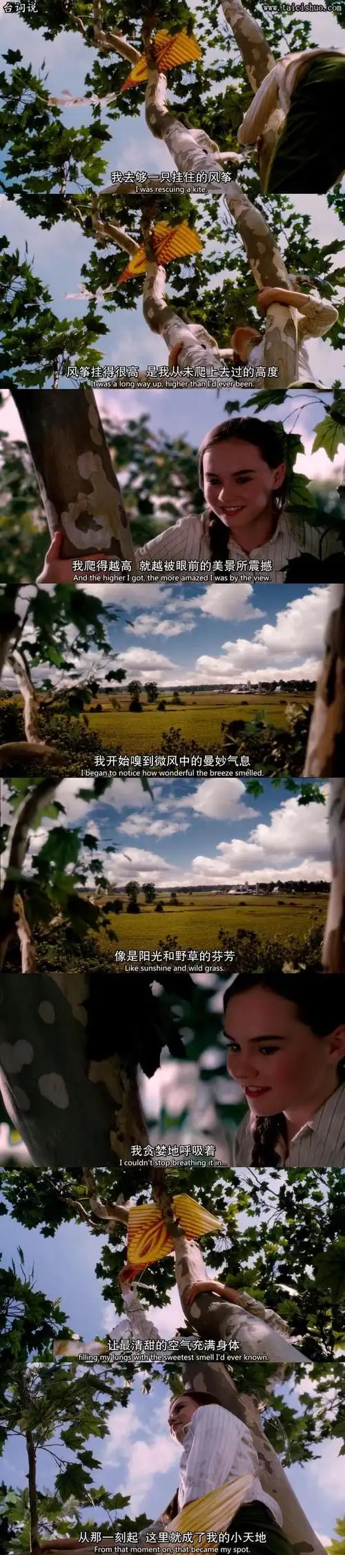 怦然心动,玛德琳卡罗尔台词图片壁纸