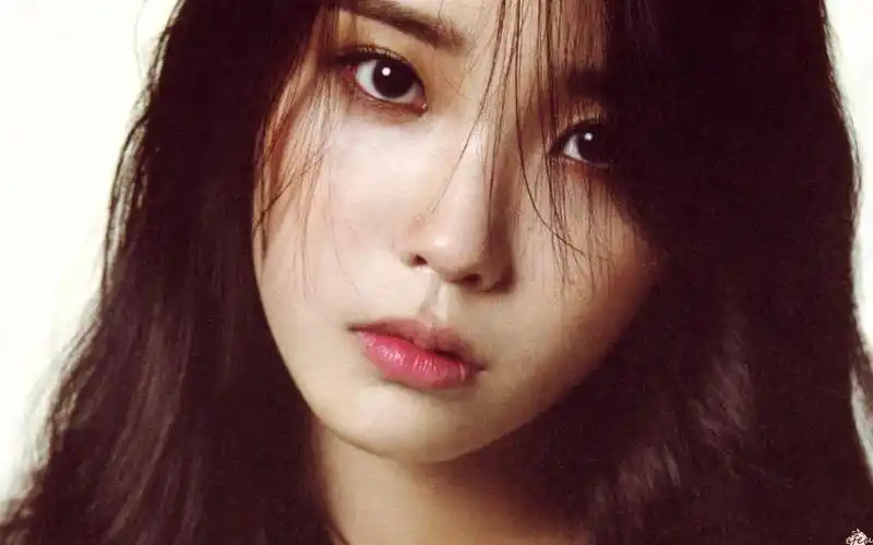 李知恩主题壁纸