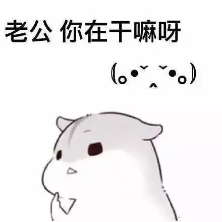 喊老公(什么梗)表情包小仓鼠版