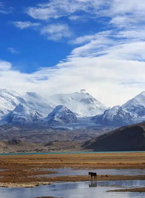 葱岭的最高峰是位于喀喇昆仑山脉的乔戈里峰,在中国和巴基斯坦