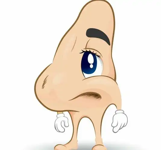 星星(1)班-家长进课堂《保护小鼻子》-宏泰帝景幼儿园