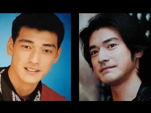 这些明星都割过双眼皮而且还很成功