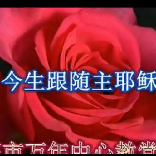 今生跟随主耶稣