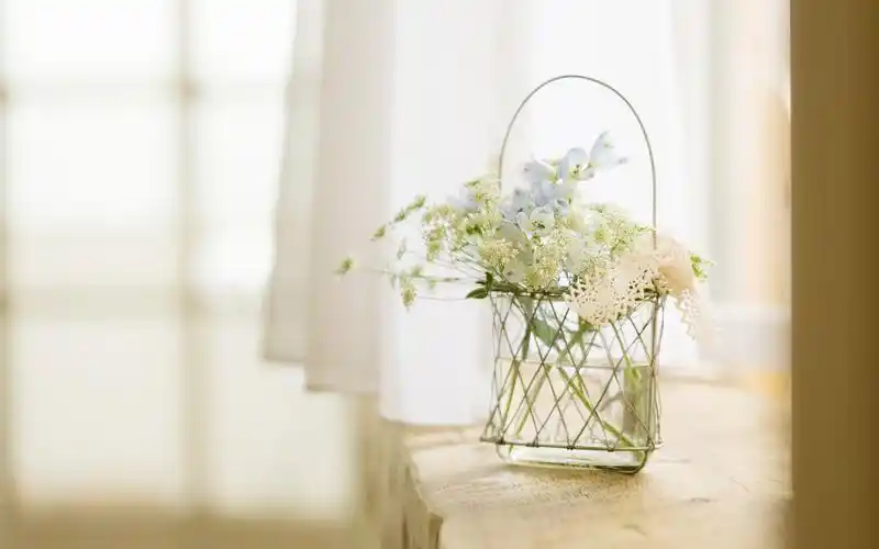 唯美室内静物图片电脑桌面壁纸