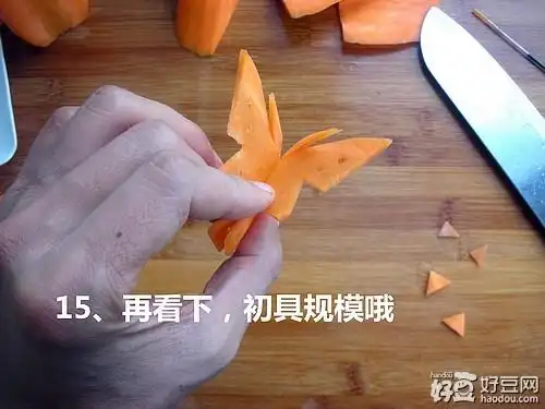 胡萝卜蝴蝶(胡萝卜蝴蝶切法简单)