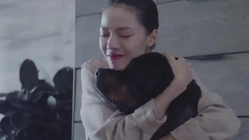 宠爱票房破3亿曝最催泪片段病危狗狗回应钟楚曦谁最爱我