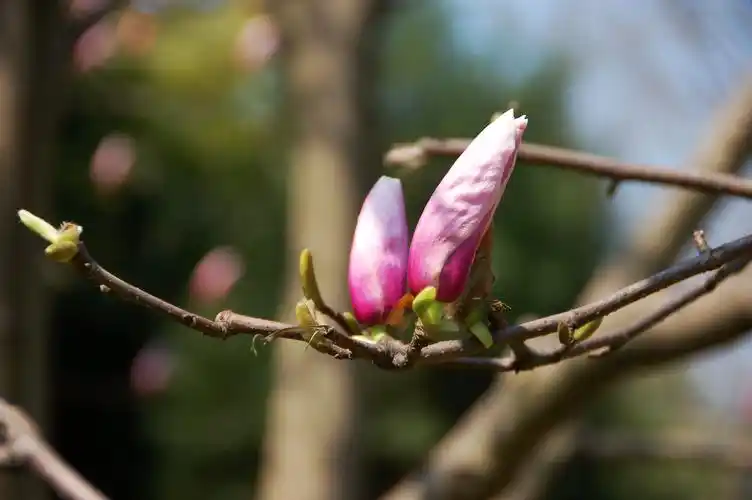 初春的宁波之行