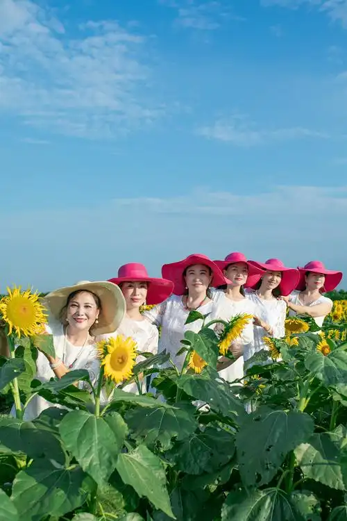 让生活充满阳光