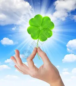 四叶透明素材-四叶透明素材素材图片大全-摄图网