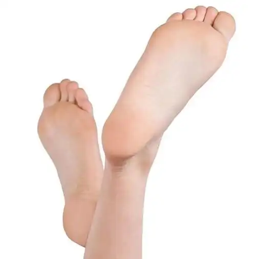 心理学3只脚掌哪个最像你的测你下半生能否大富大贵