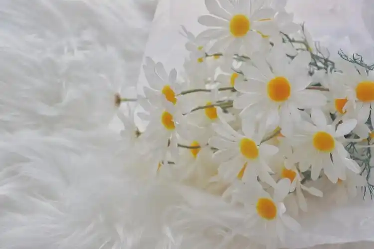 电脑壁纸 桌面壁纸 聊天背景 锁屏壁纸 ins 油画 iphone 【禁商用】