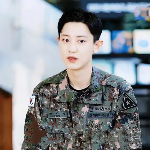 禁止🚫二传二改#朴灿烈