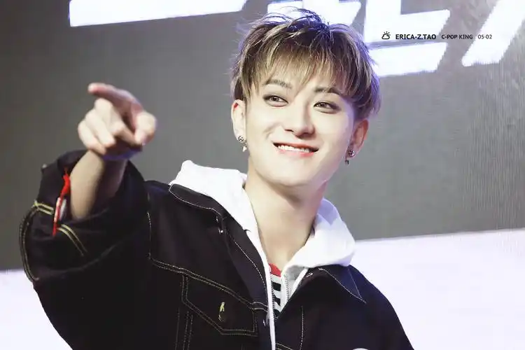 黄子韬和心爱的小猫猫萌翻了一众网友