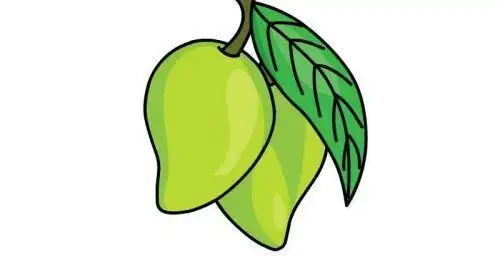 简单又漂亮芒果简笔画画法图解简单可爱芒果简笔画怎么画