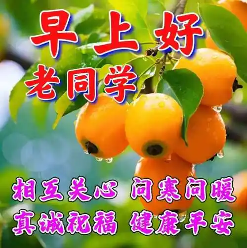 老同学早上好创意温馨的祝福图片带字早安问候语,关心老同学们的问候