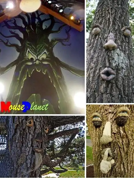 世界上最令人恐怖的大树