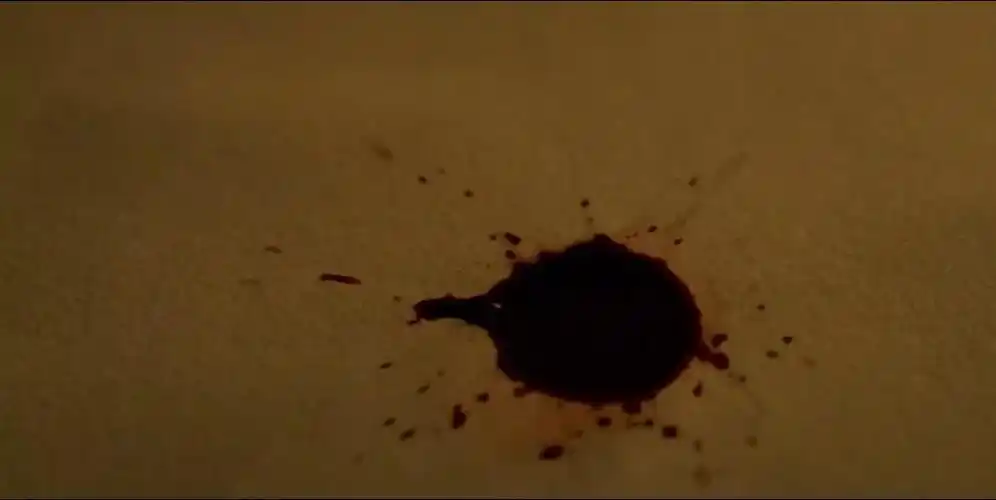 一滴血在地毯上晕开,伴随着一声惊悚的女人嚎叫声.