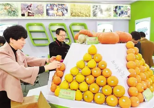 中评社北京11月21日电/浙江在线讯,2015浙江农业博览会昨天开幕.