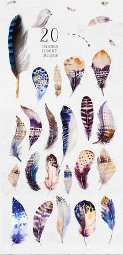 羽毛-花瓣网|陪你做生活的设计师 | 手绘孔雀羽毛彩色平面广告