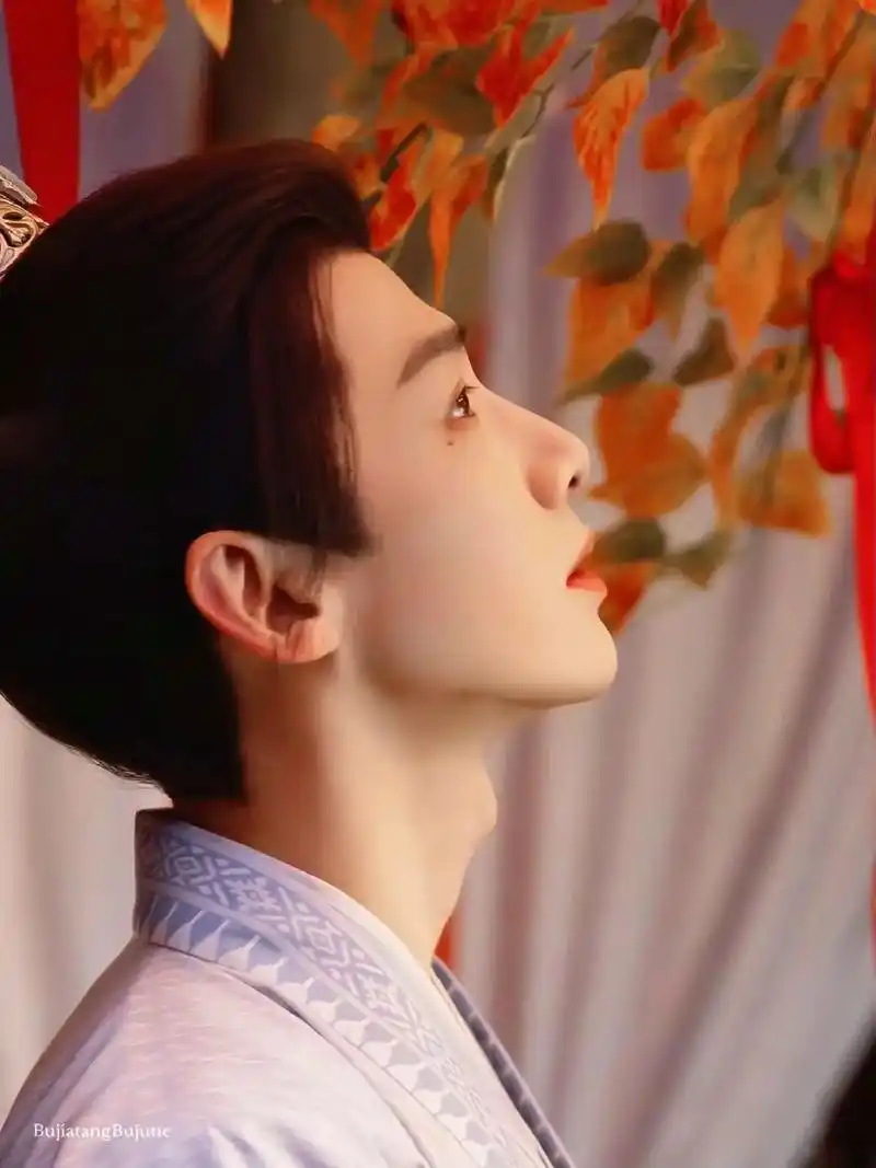 古装白敬亭.第二弹来一波古装白94#白敬亭 #陌上人如玉公子 - 抖音