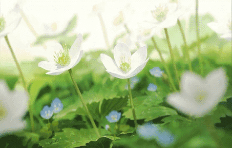 500_320gif 动态图 动图