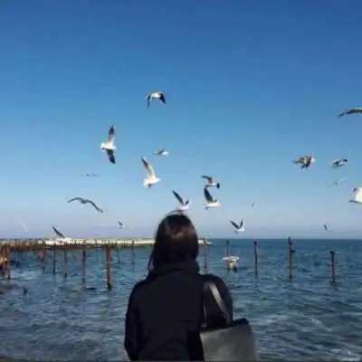看海头像女生优雅背影女生最新蓝色海边头像
