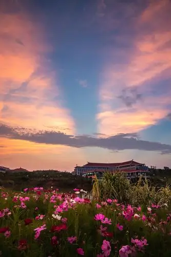 厦门大学校园风景合集高校厦门大学