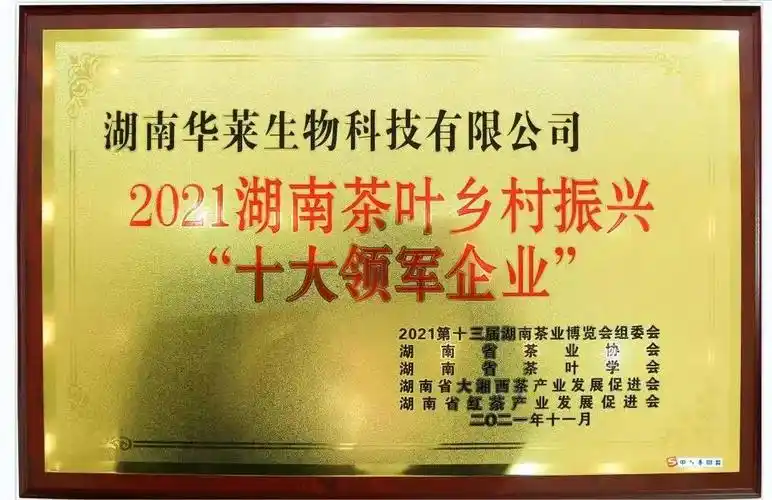 黑茶出圈理想华莱乘风破浪中