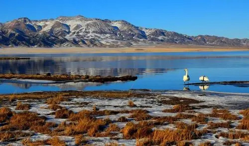 吹爆!这波赛里木湖绝美壁纸,我先收为敬