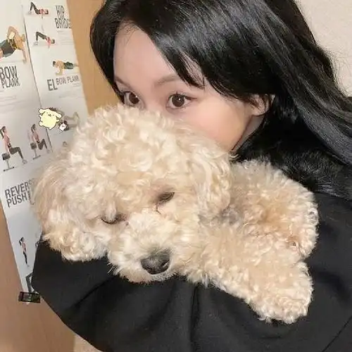 一些孙彩瑛小众头像