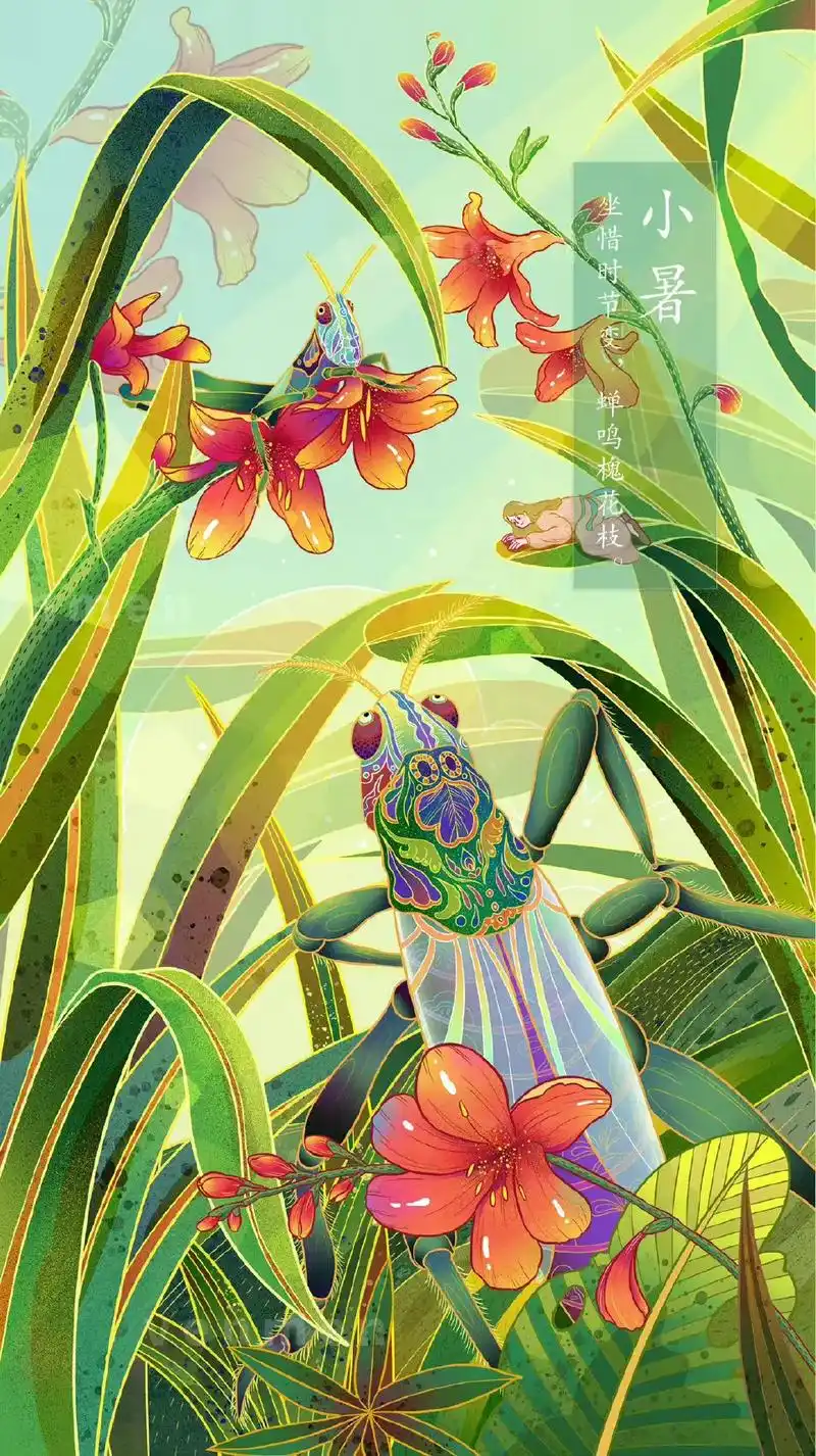 节气插画海报  设计师venmen  #画画 #创意 #艺术 - 抖音