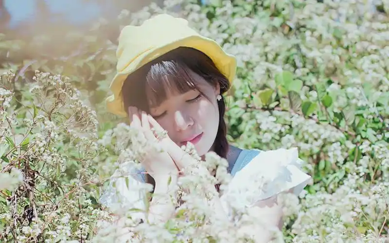 清新森系美女户外写真,高清壁纸图片,清纯美女-回车桌面