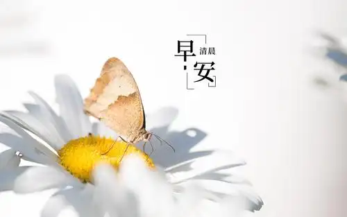 早安暖心问候语