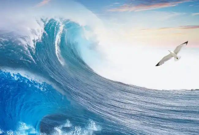 原创诗歌|假如我是一朵浪花,我要在大海的柔波里