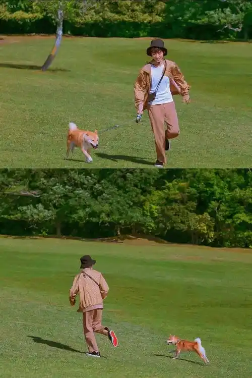 王俊凯——谢谢你,在抑郁,迷茫里的光与热