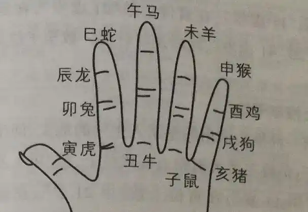 教你掐指一算第一招推十二生肖掌诀