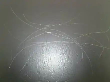 而想要快速的让头发变黑,除了染发之外,有人还会想到拔白头发,为了让