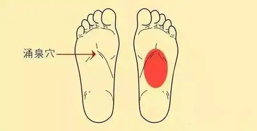 涌泉穴在脚底的上三分之一处,也就是我们前脚掌,下面的窝这个凹陷的