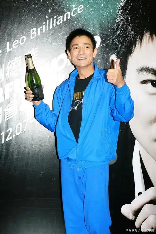 怎样评价刘德华的演技?