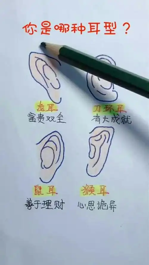 图中的几种耳型,你是哪种呢_腾讯视频