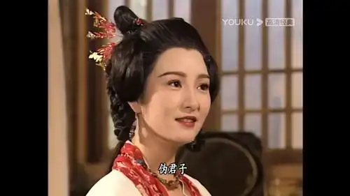 重看天龙八部get到了马夫人的美