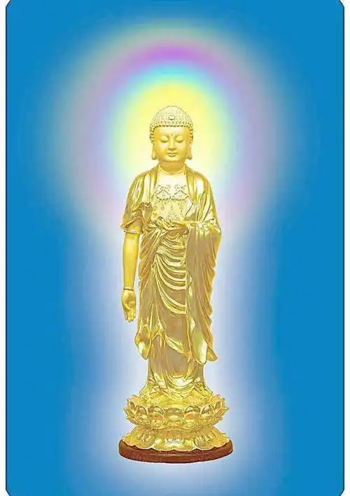 阿弥陀佛身金色相好光明无等伦